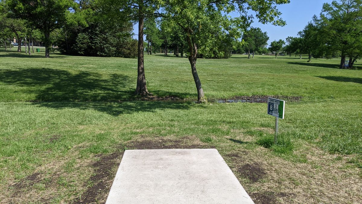 Tee #8