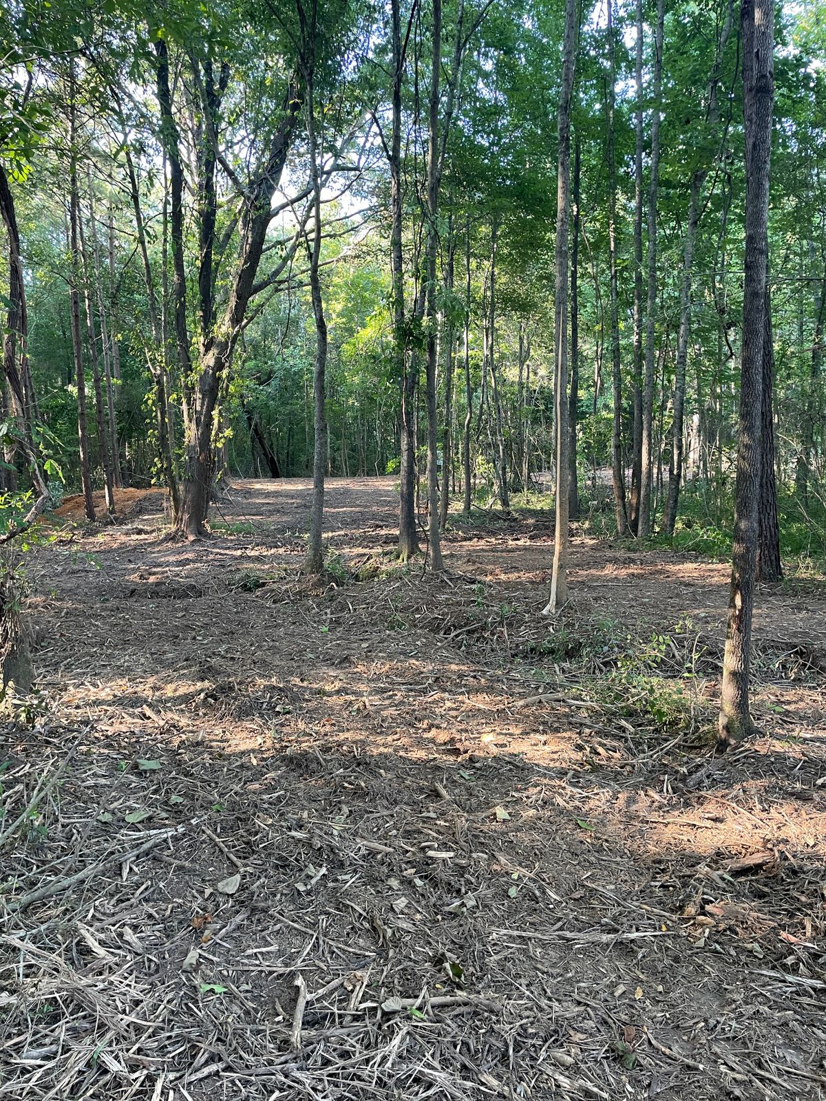 Hole 6