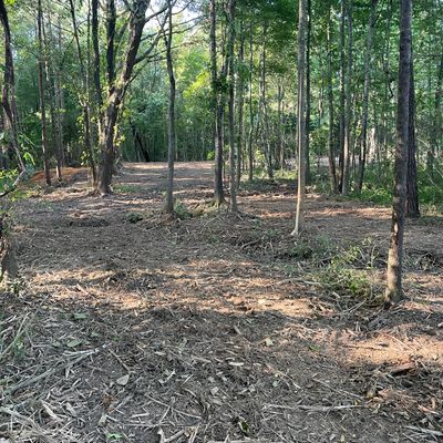 Hole 6