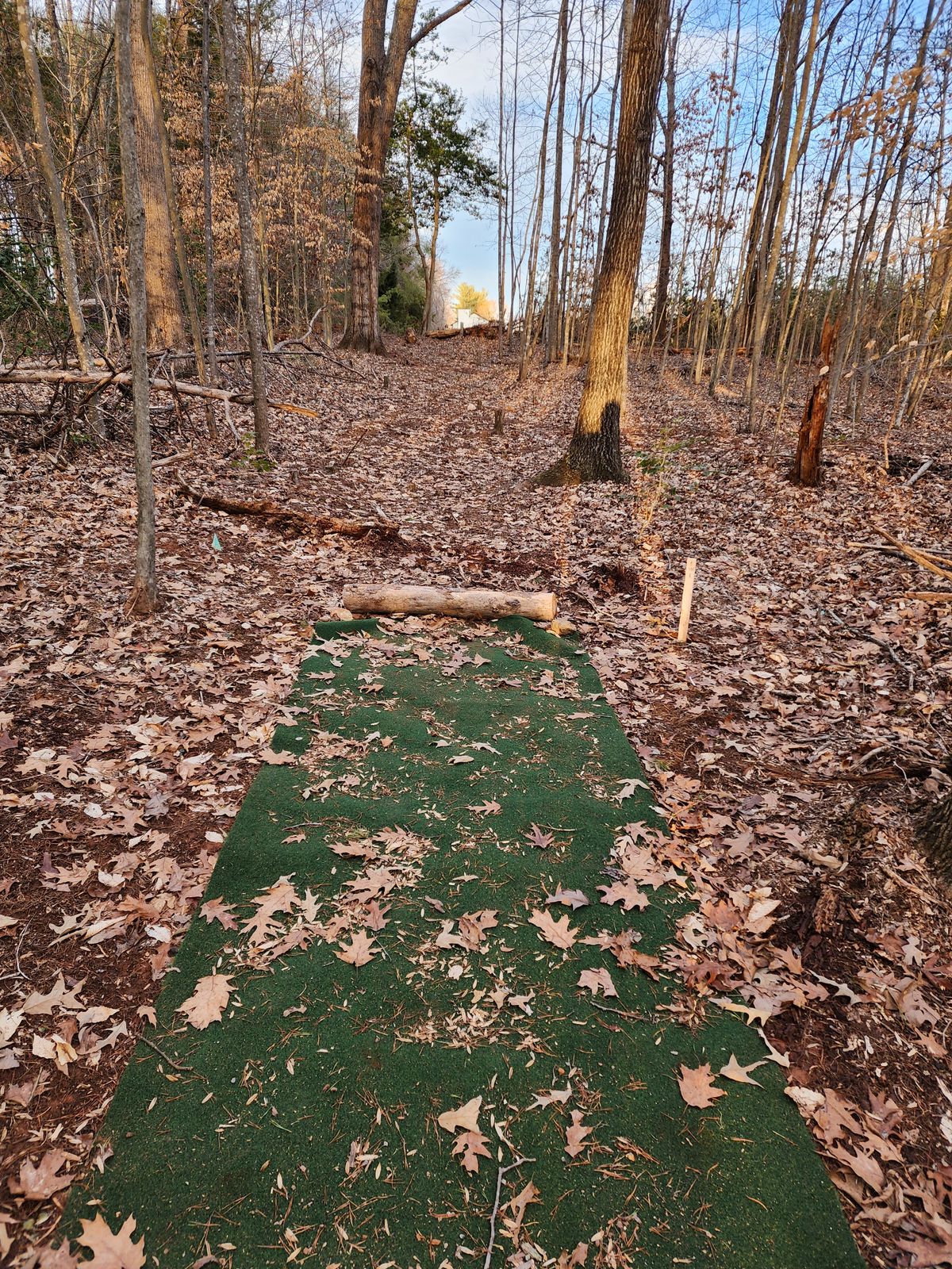 Hole 8 Short