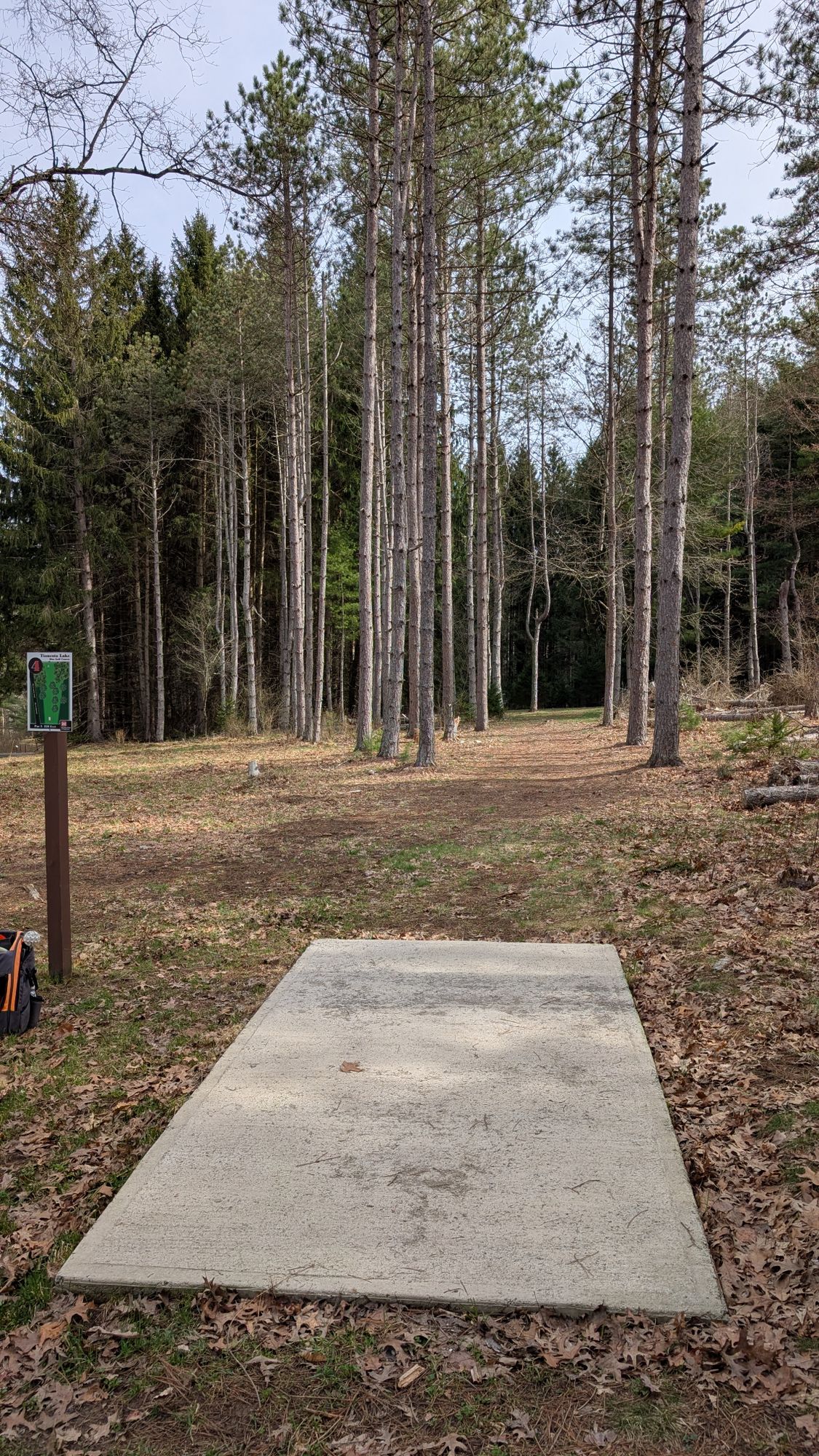 Hole 4