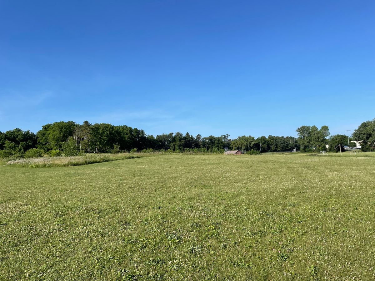 Lake Mills Community Disc Golf Course
