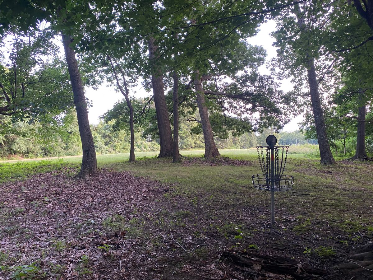Hole 15 green