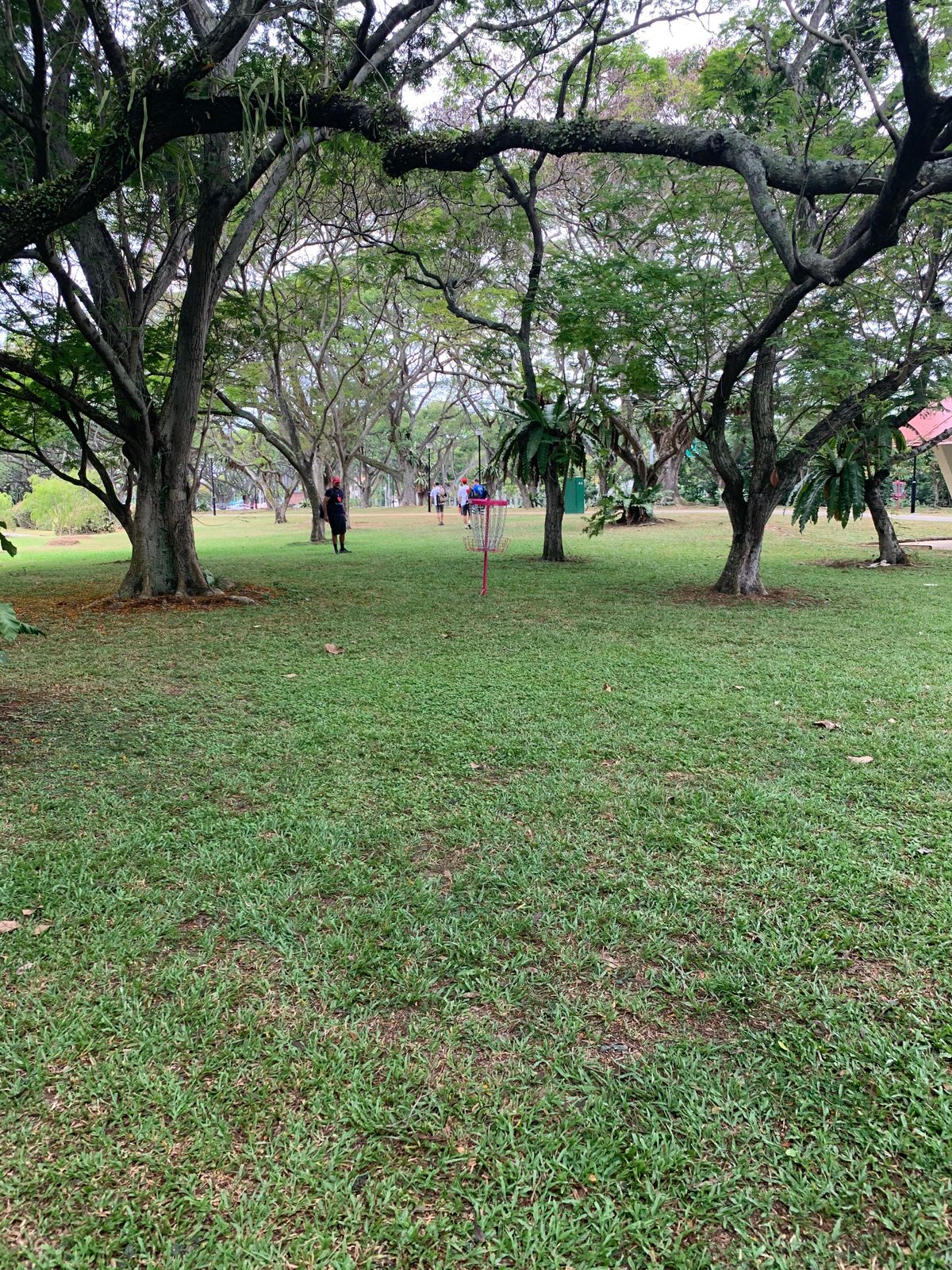 Hole 15 Basket
