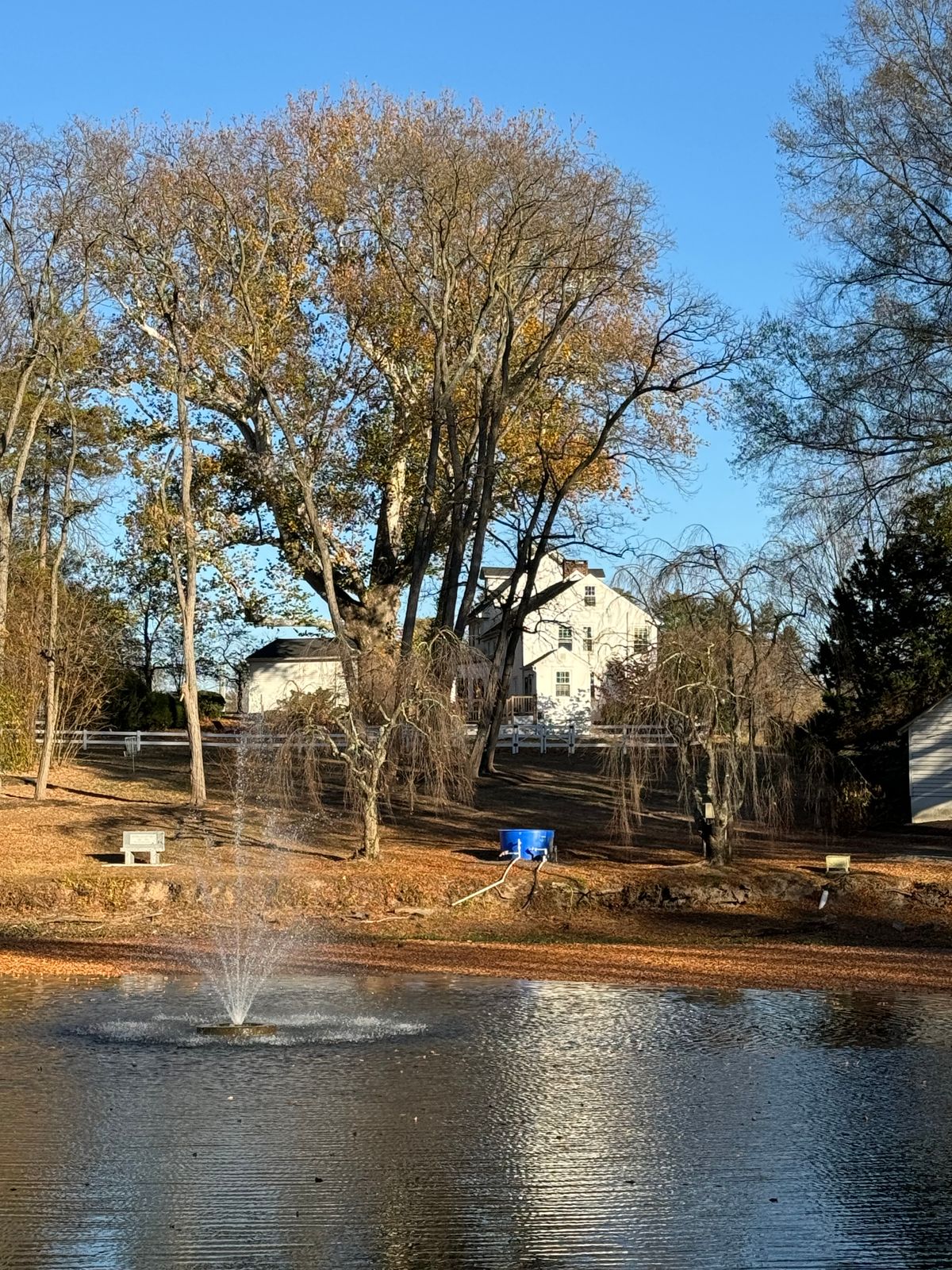 Fountain