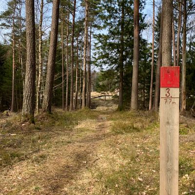 Hole 3, Low ceiling 77m and basket on a small hill to the left