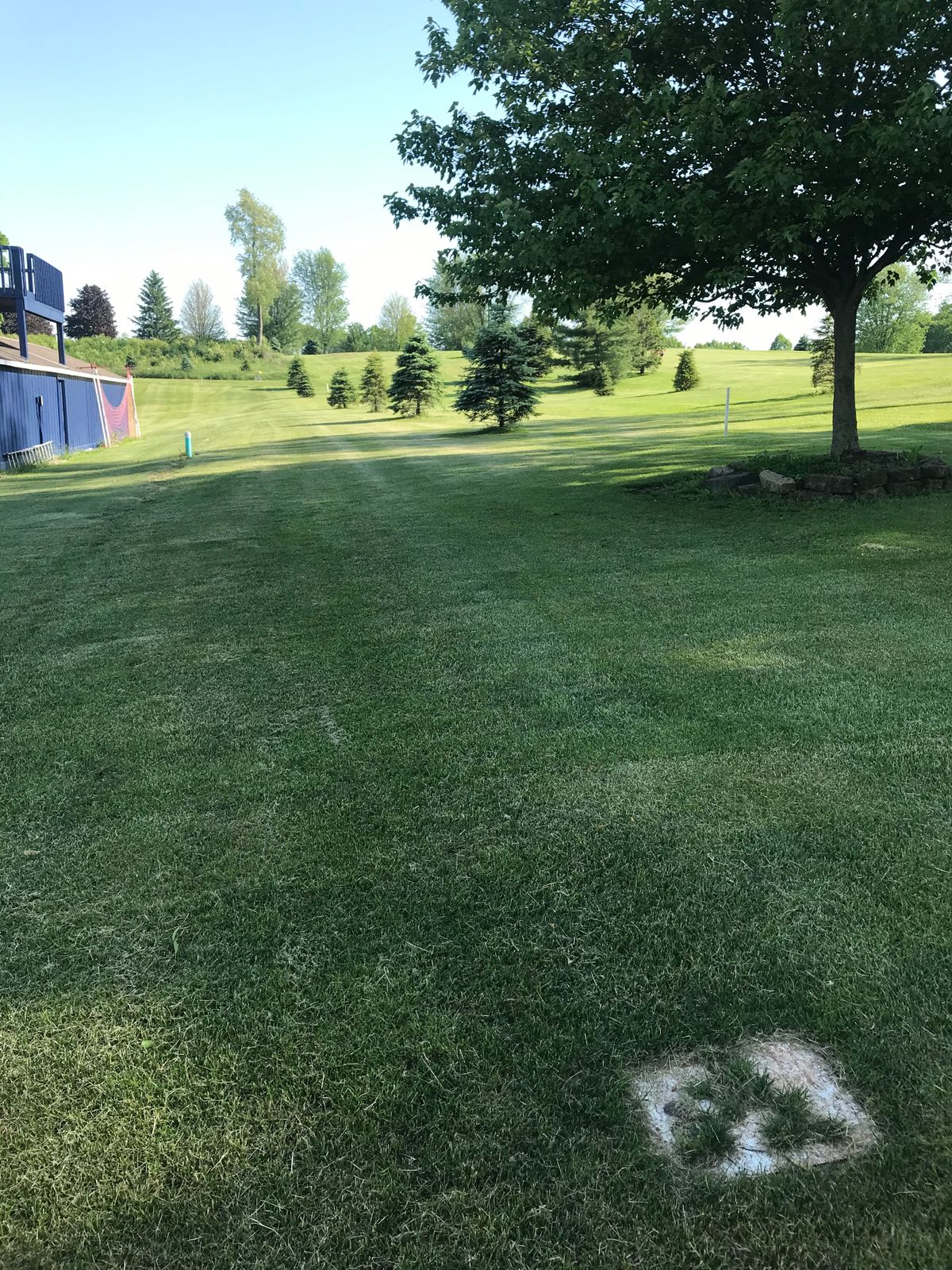 Tee 5