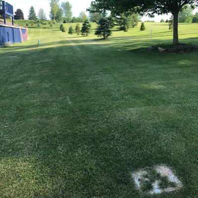 Tee 5