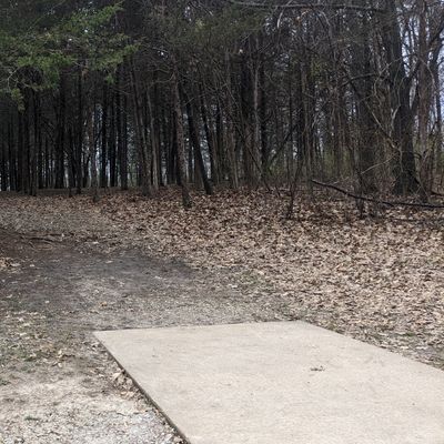 Hole 16 teepad
