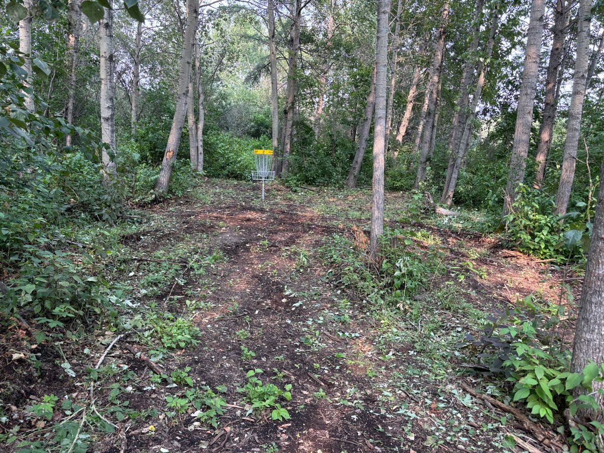 Hole 2 green