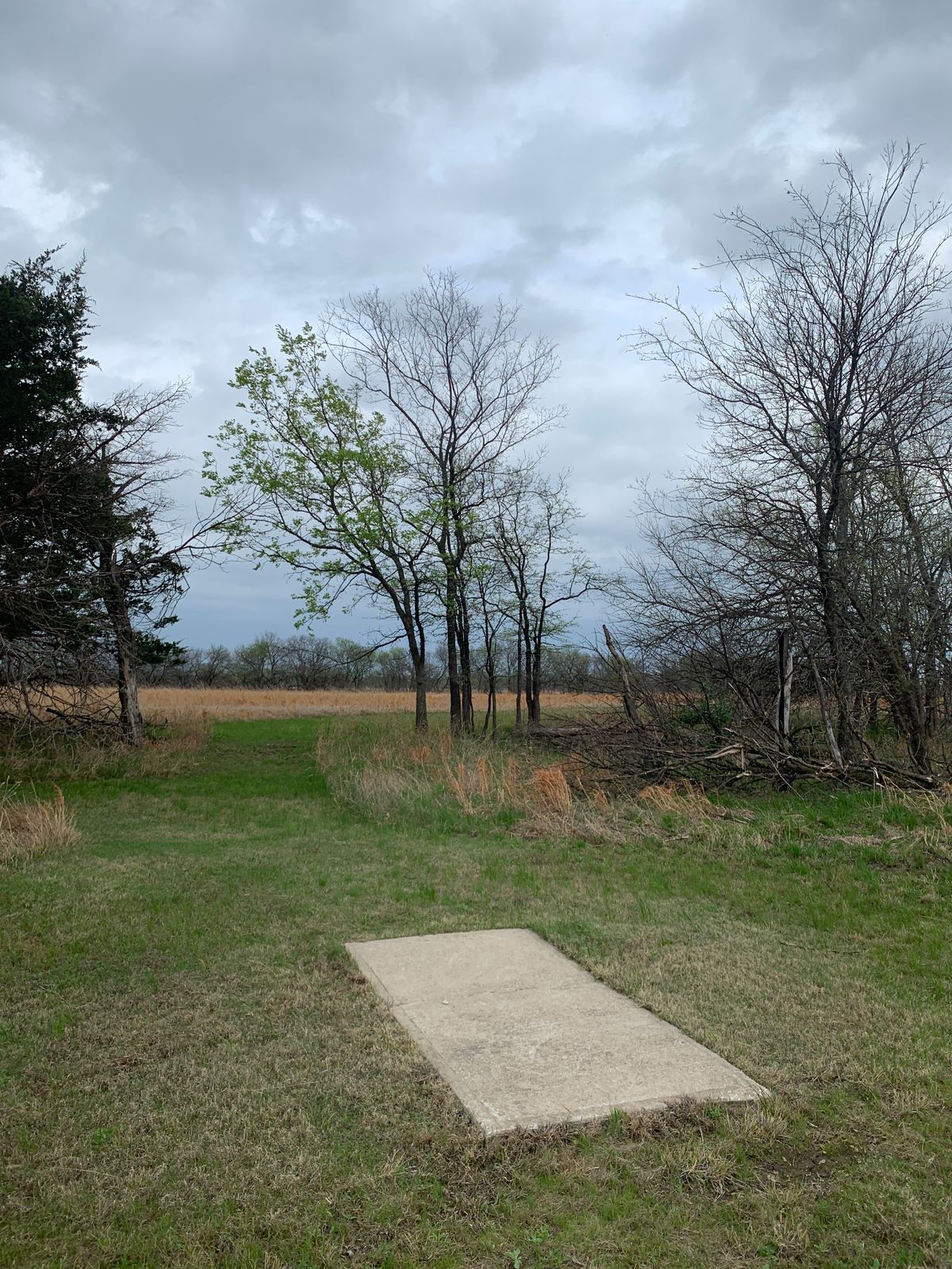 Hole 5 from tee