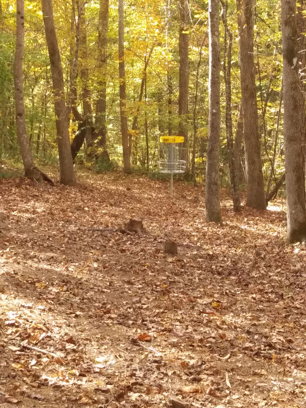 Hole 13 basket
