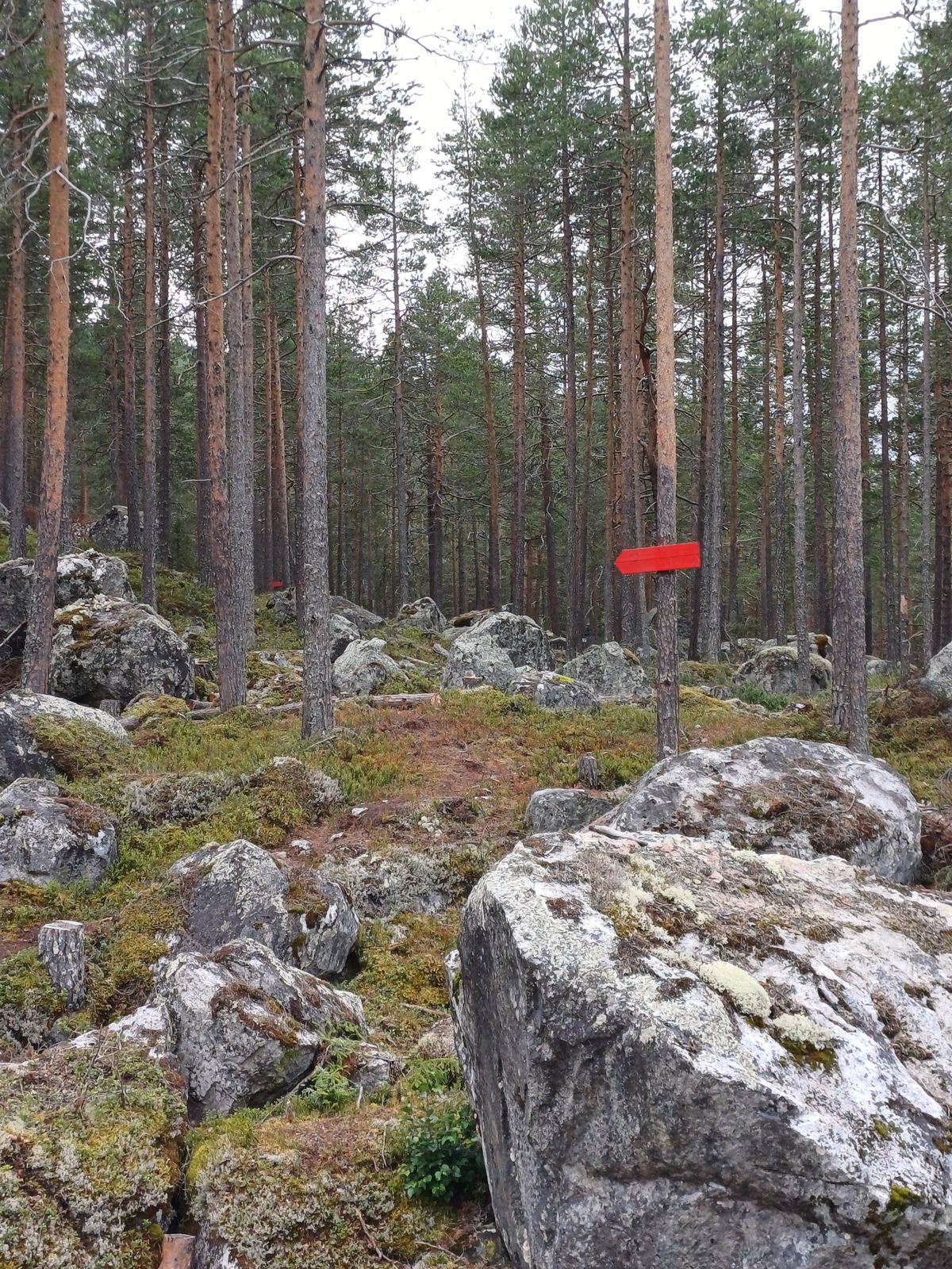 Fra kort tee hull 8