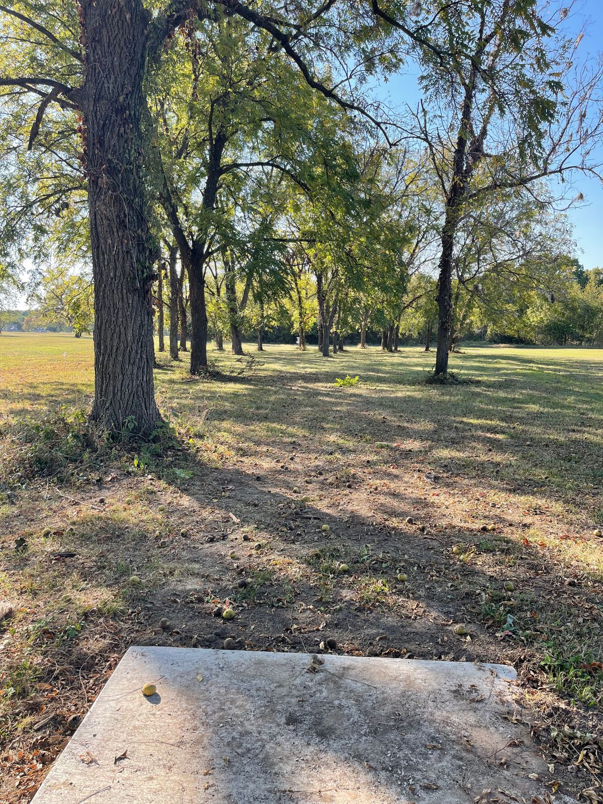 Hole 10’s tee
