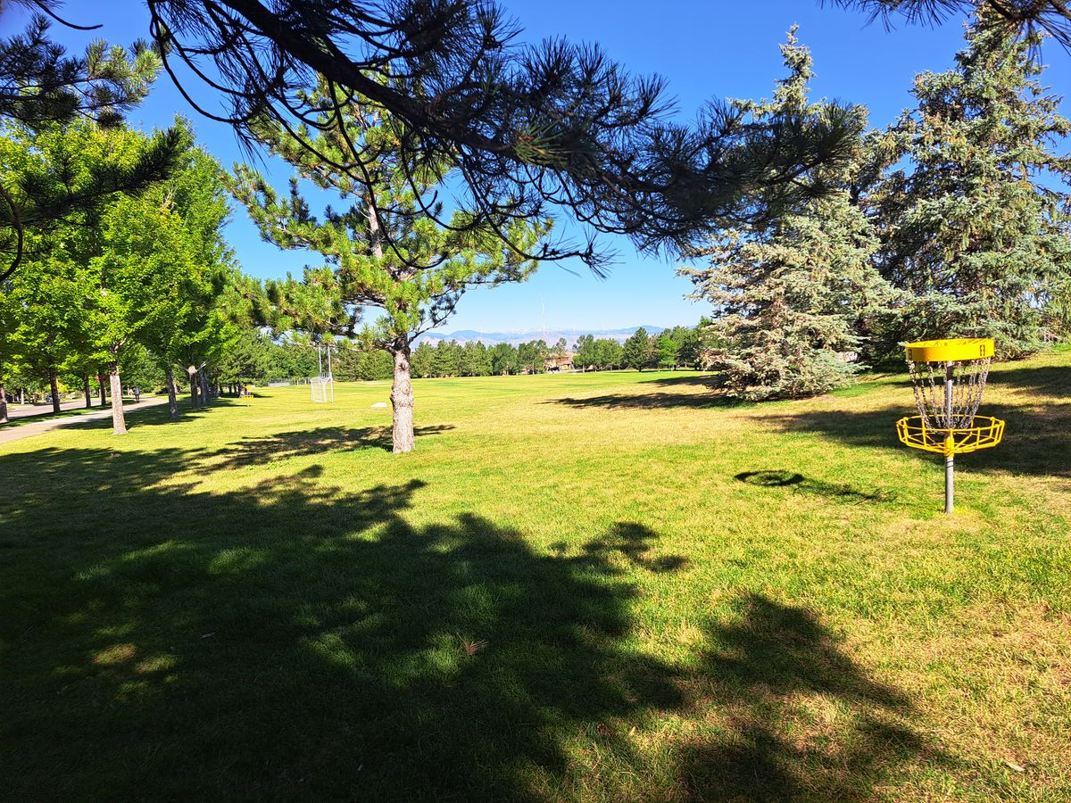 Hole 8 basket from behind