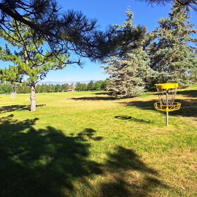 Hole 8 basket from behind