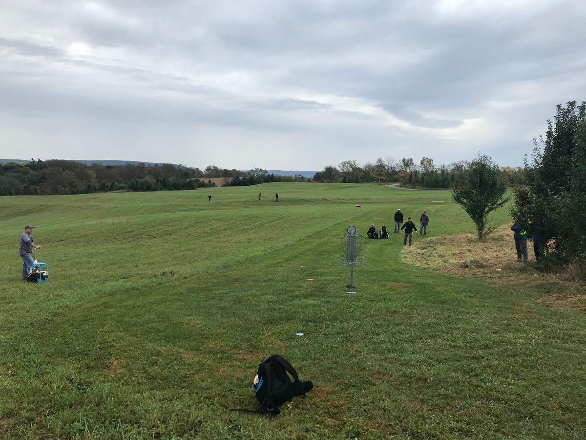 Looking backwards on hole 5