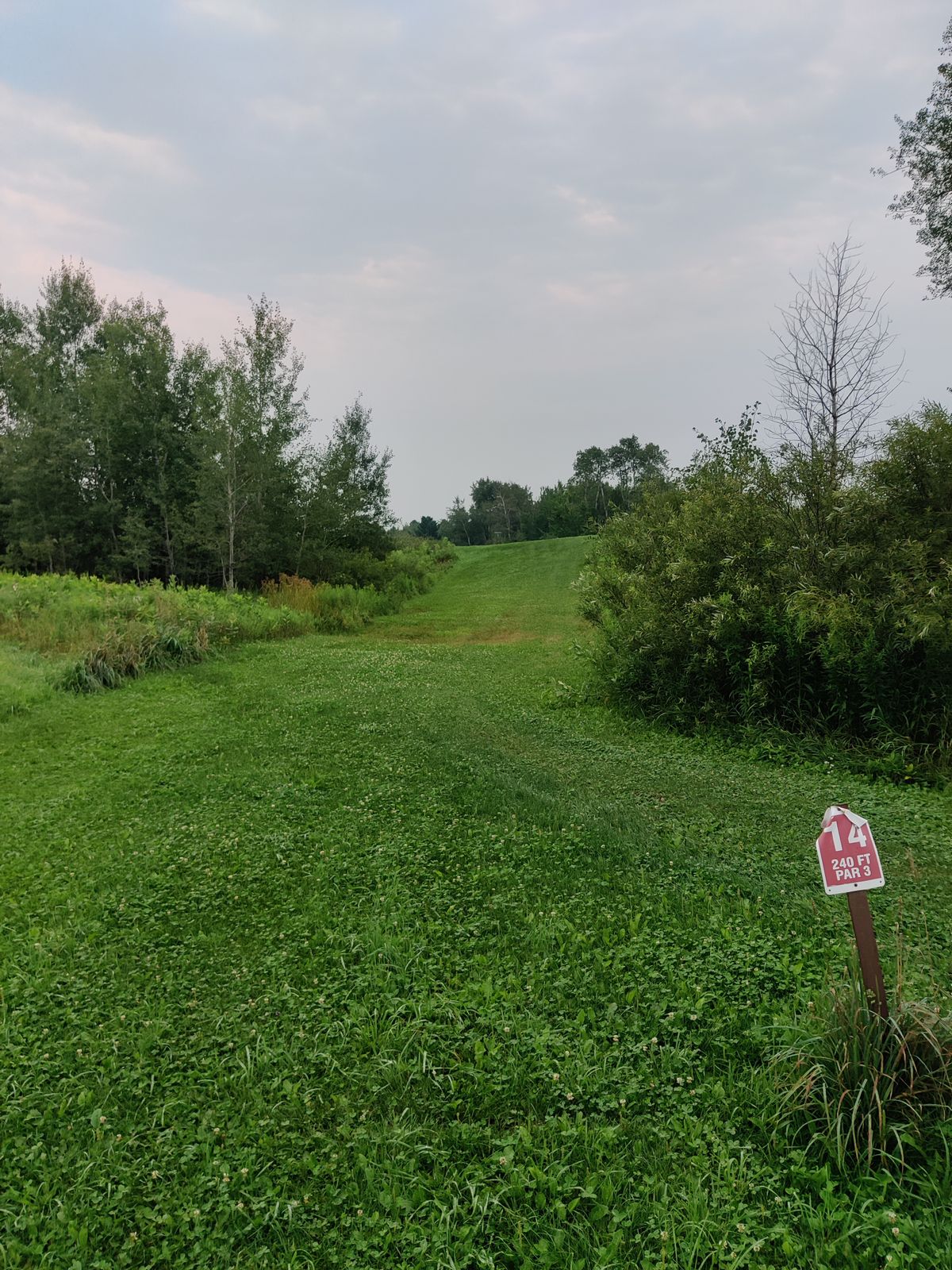 Tee 14