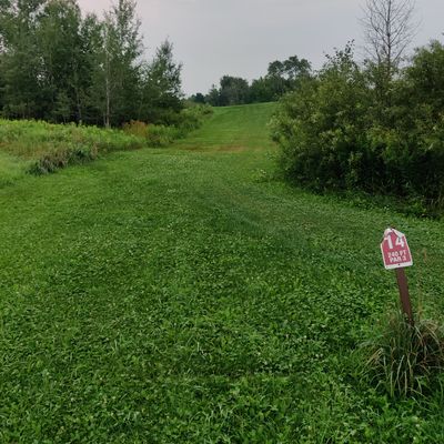 Tee 14