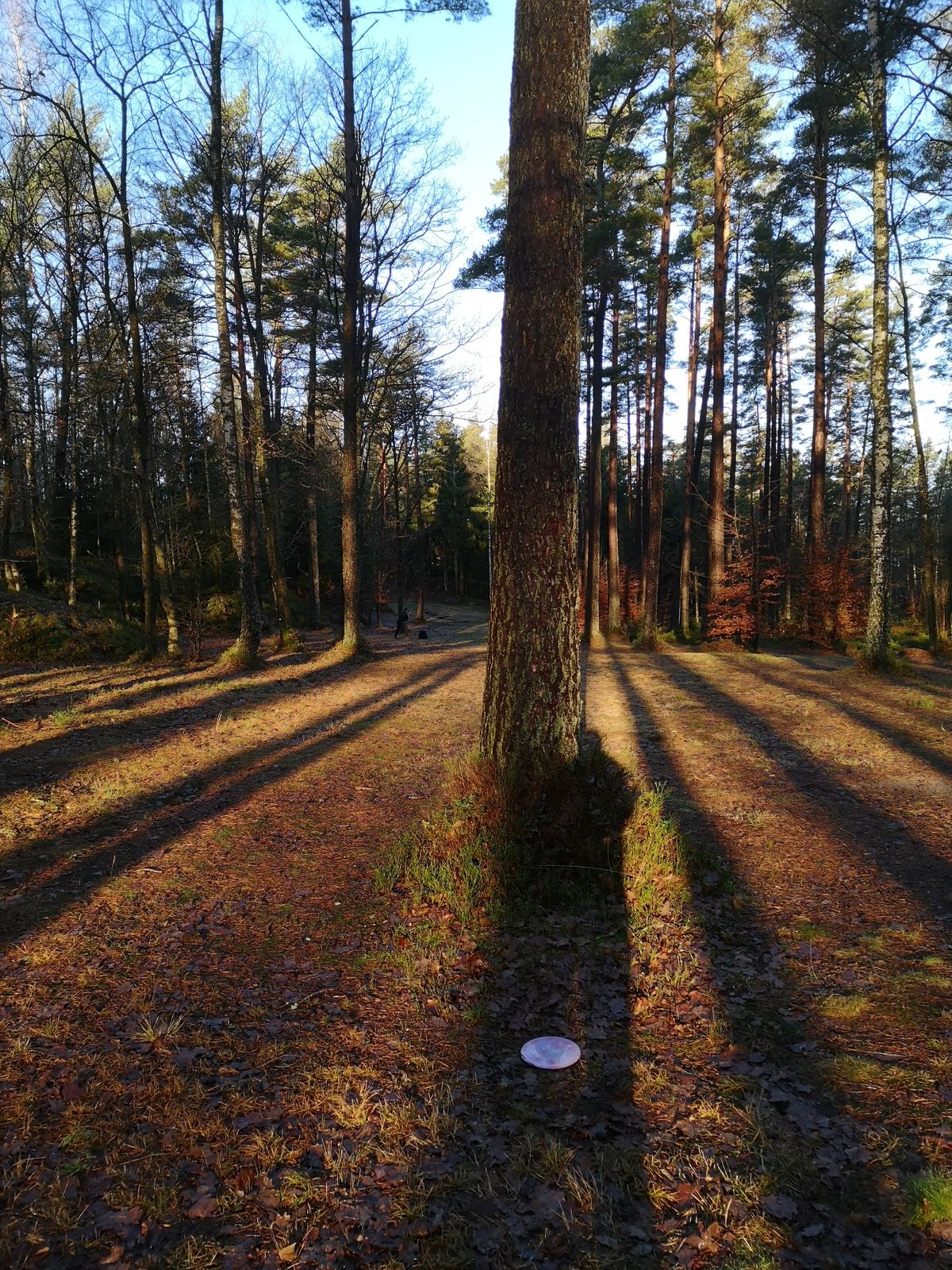 Yellow 14 landing area