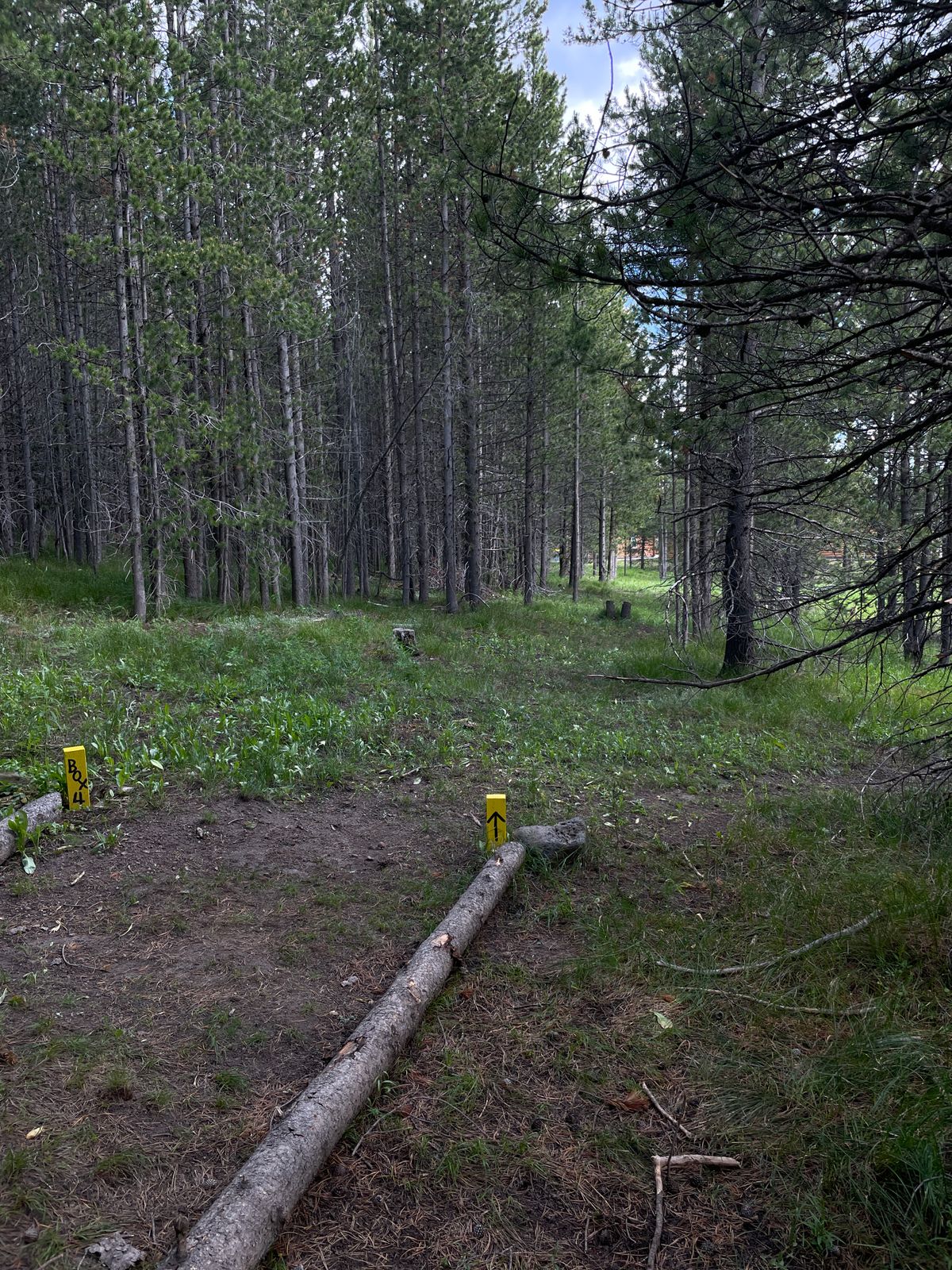 Hole 4