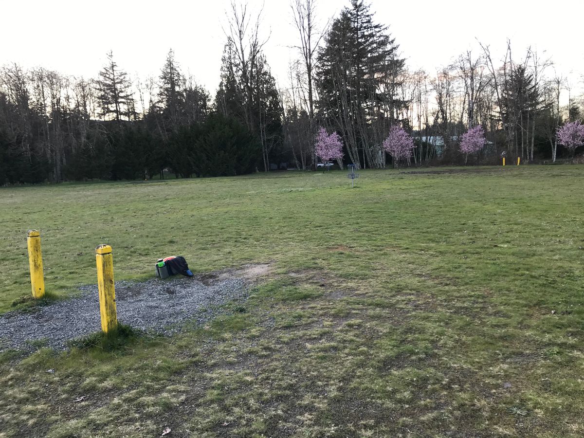 Tee Pad 9 in open field