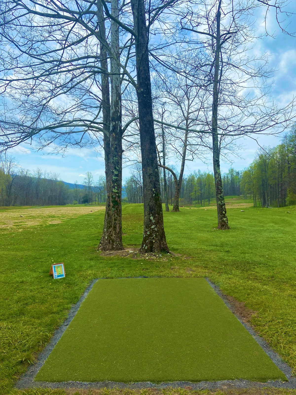 Tee of hole 5