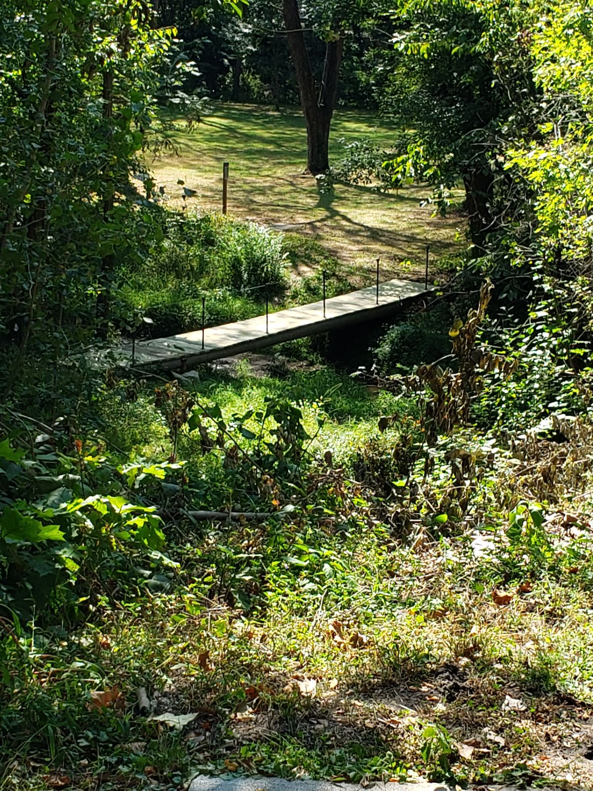 New bridge on 17