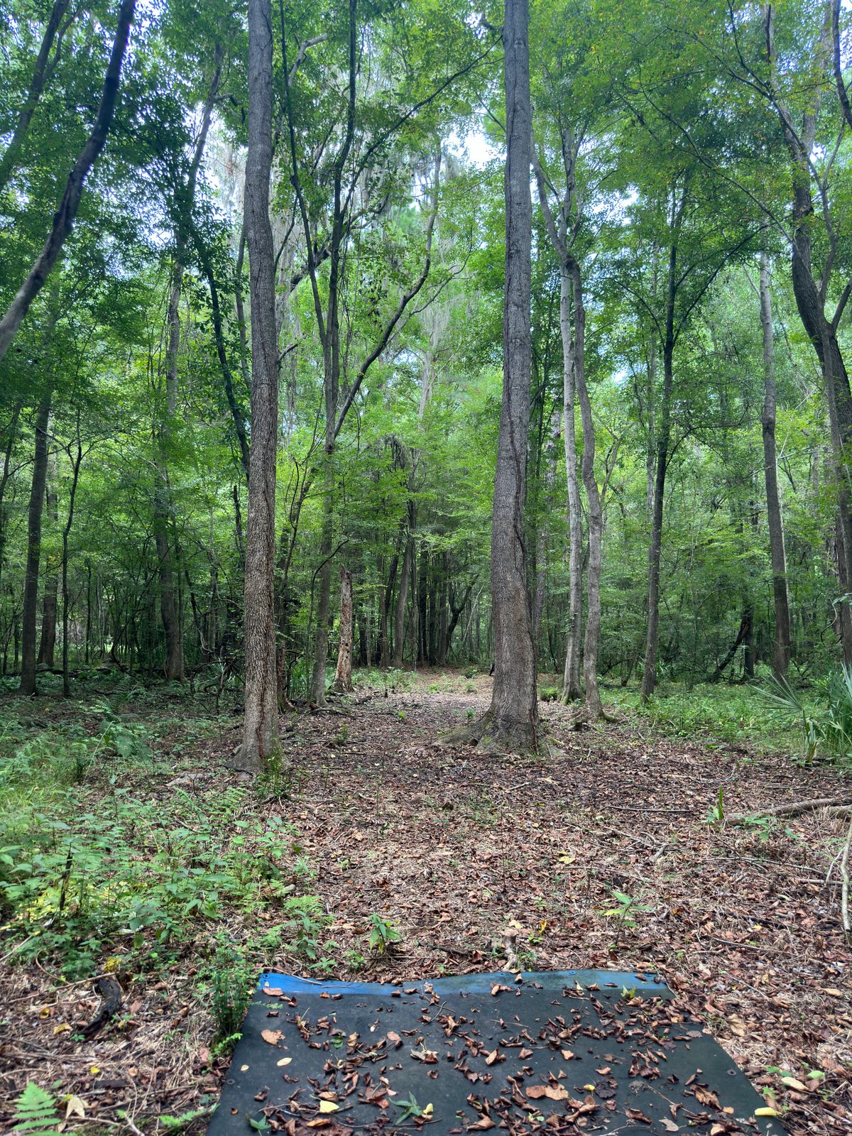 Hole 11 is a straight tight fairway 196’