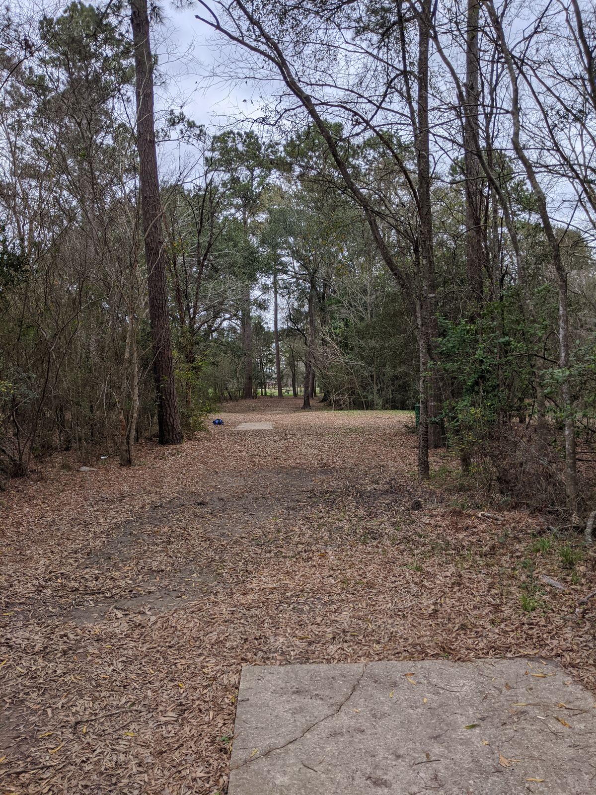 Hole 14 Blue Tee