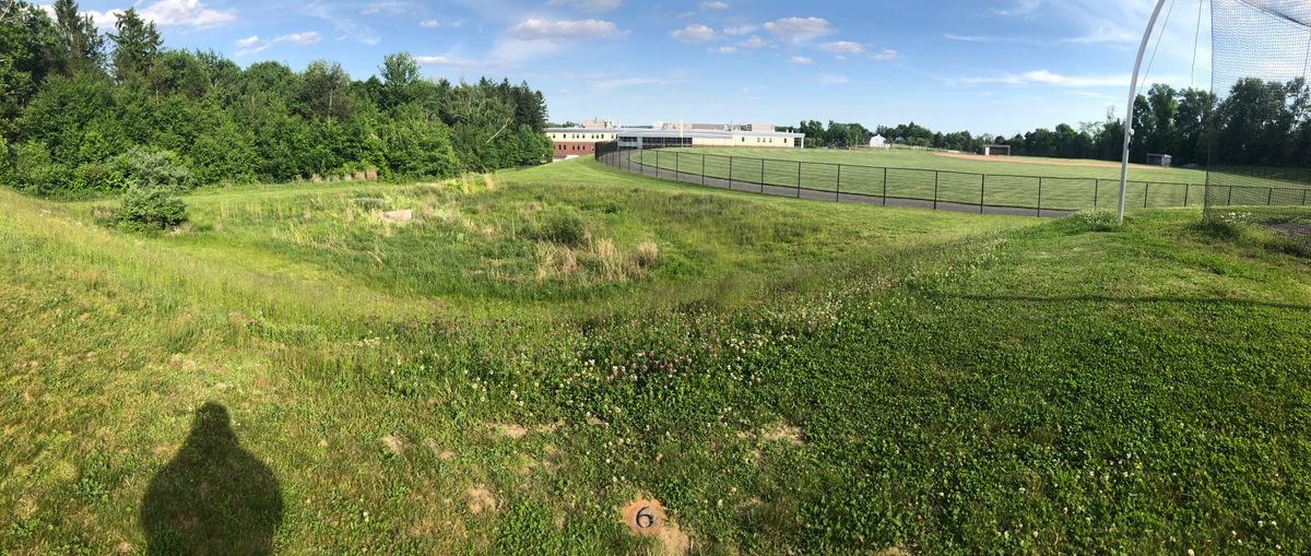Hole 6 with all the growth around water hole.  Obstacle short is the tall grass.  Obstacle right is the fence.   Obstacle left is the steep downhill next to the basket.