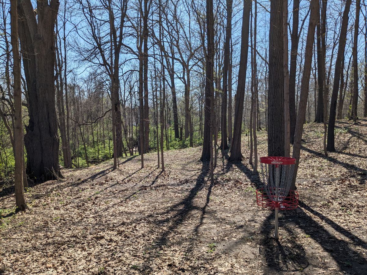 #5 from behind Basket
