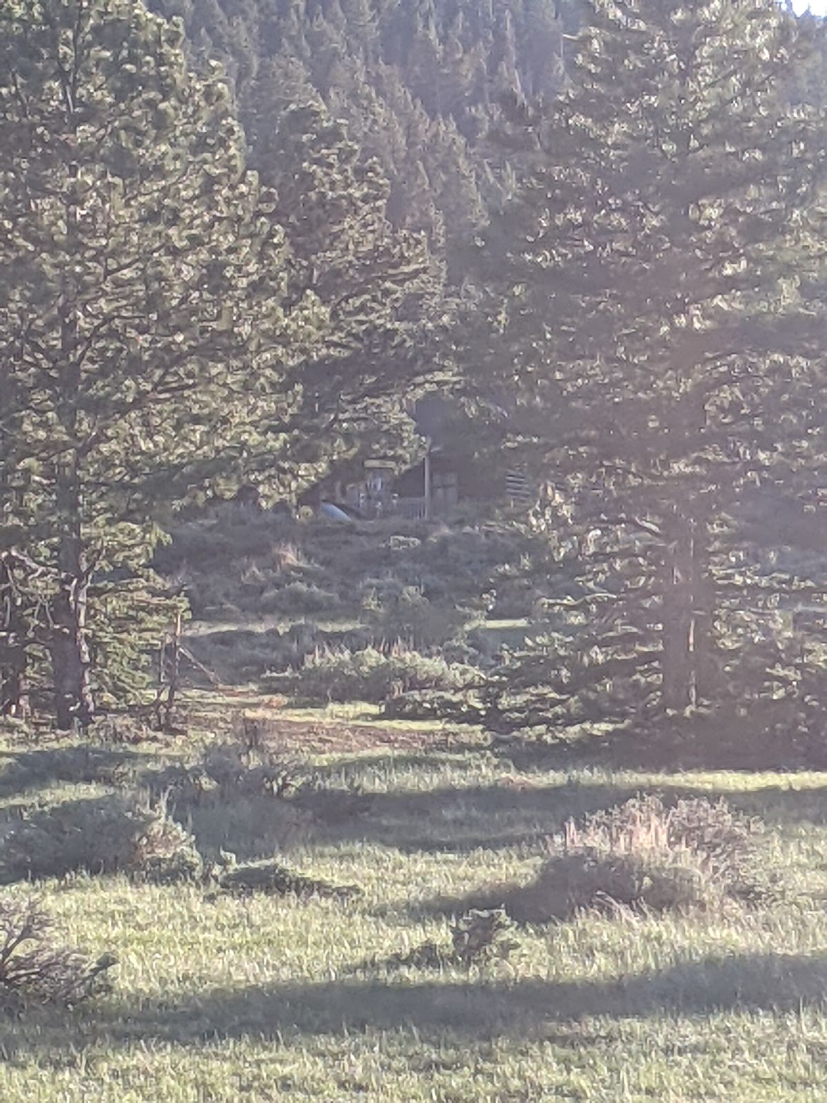 Hole 12