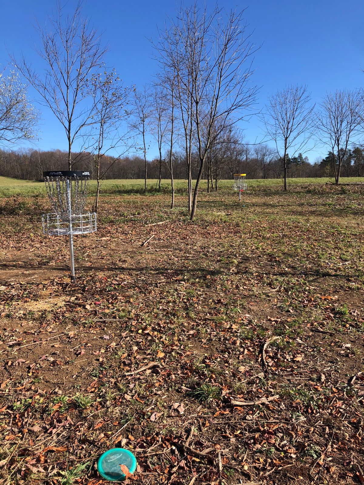 Hole 2 Baskets