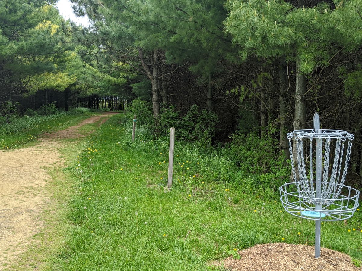 Hole 12 is the best hole on the course.