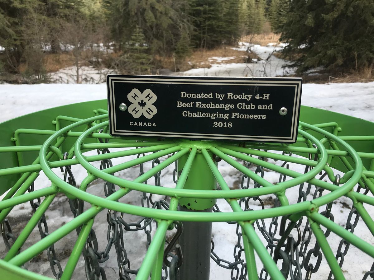 Hole 1: top of the basket