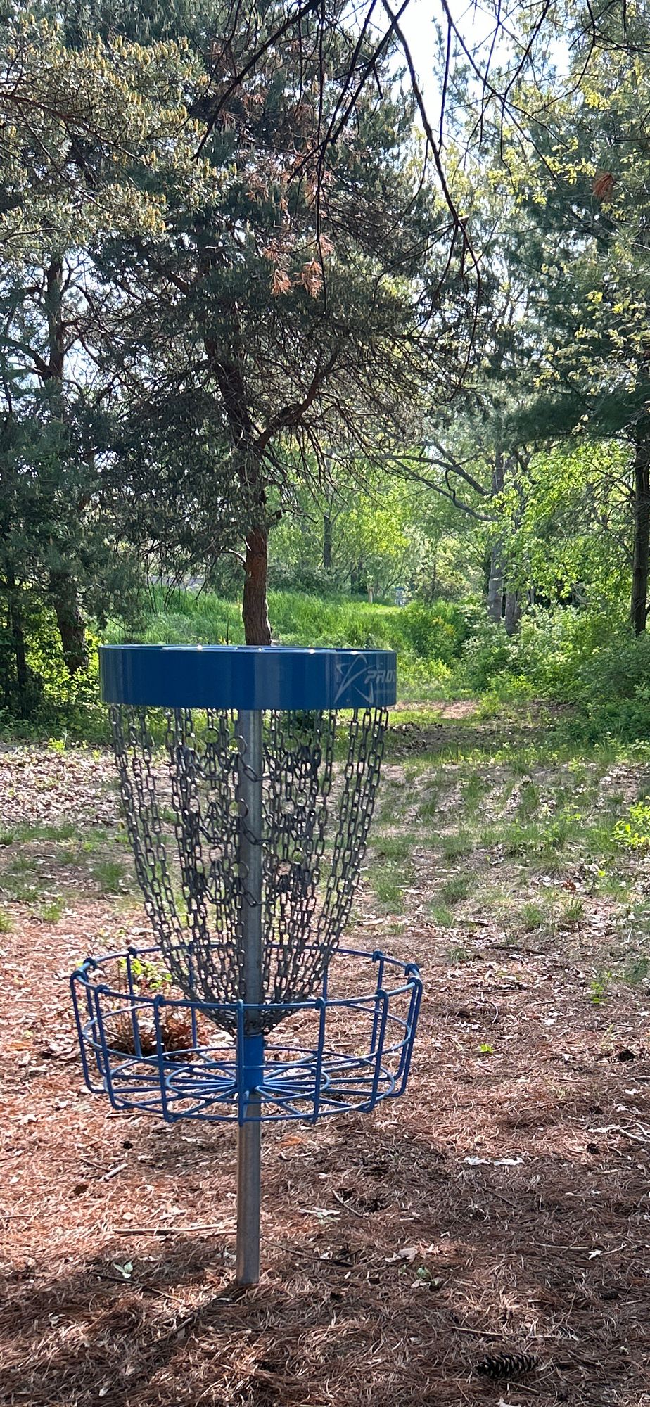 Hole #3 Basket