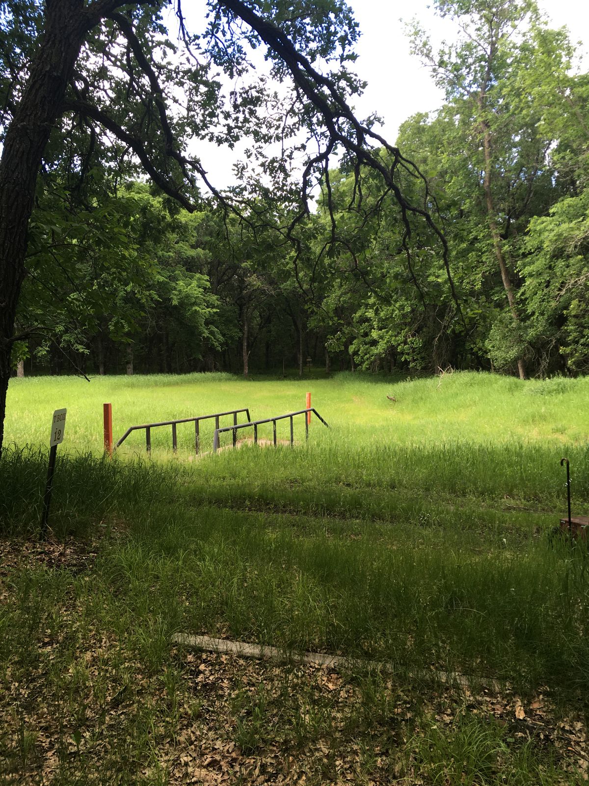 Beautiful hole 12