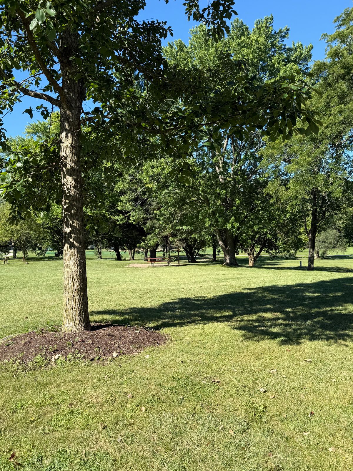 Tee 7 - look for bench and picnic table (in season)