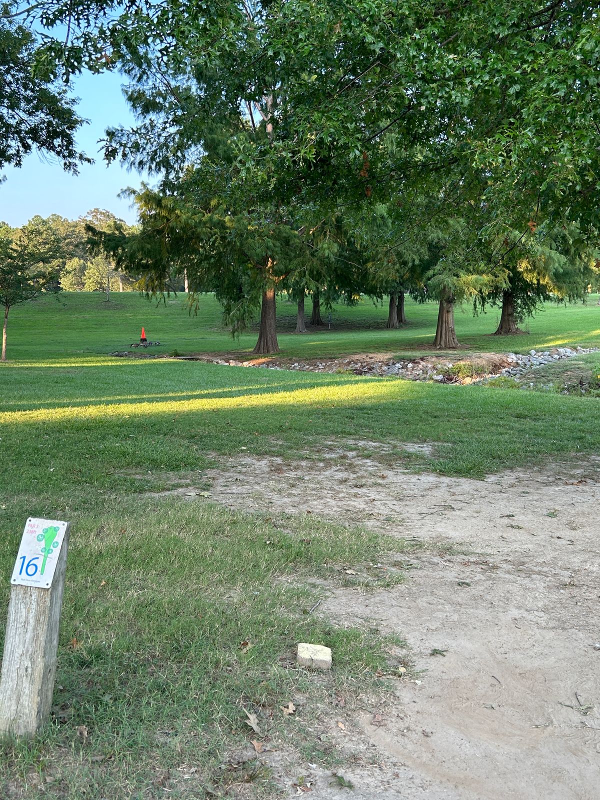 Hole 16 slightly uphill with low canopy straight ahead