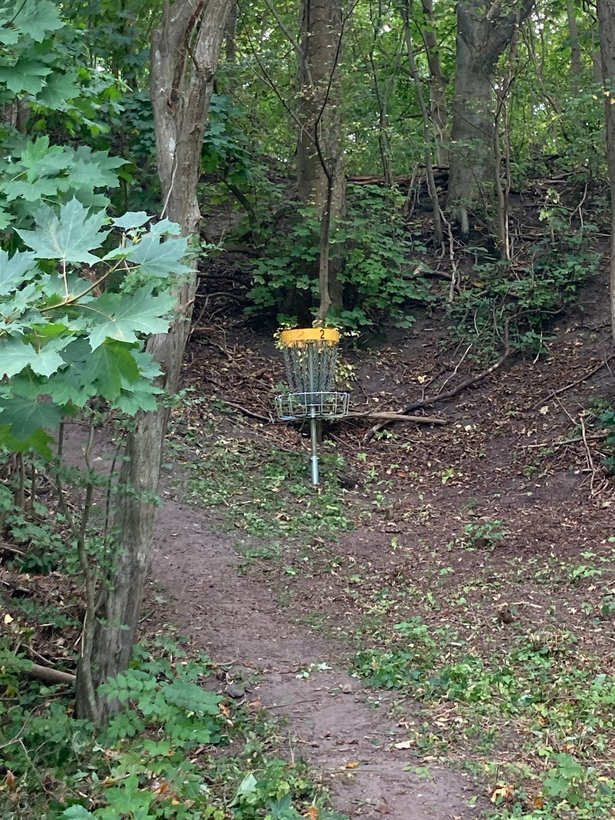 Hole 3