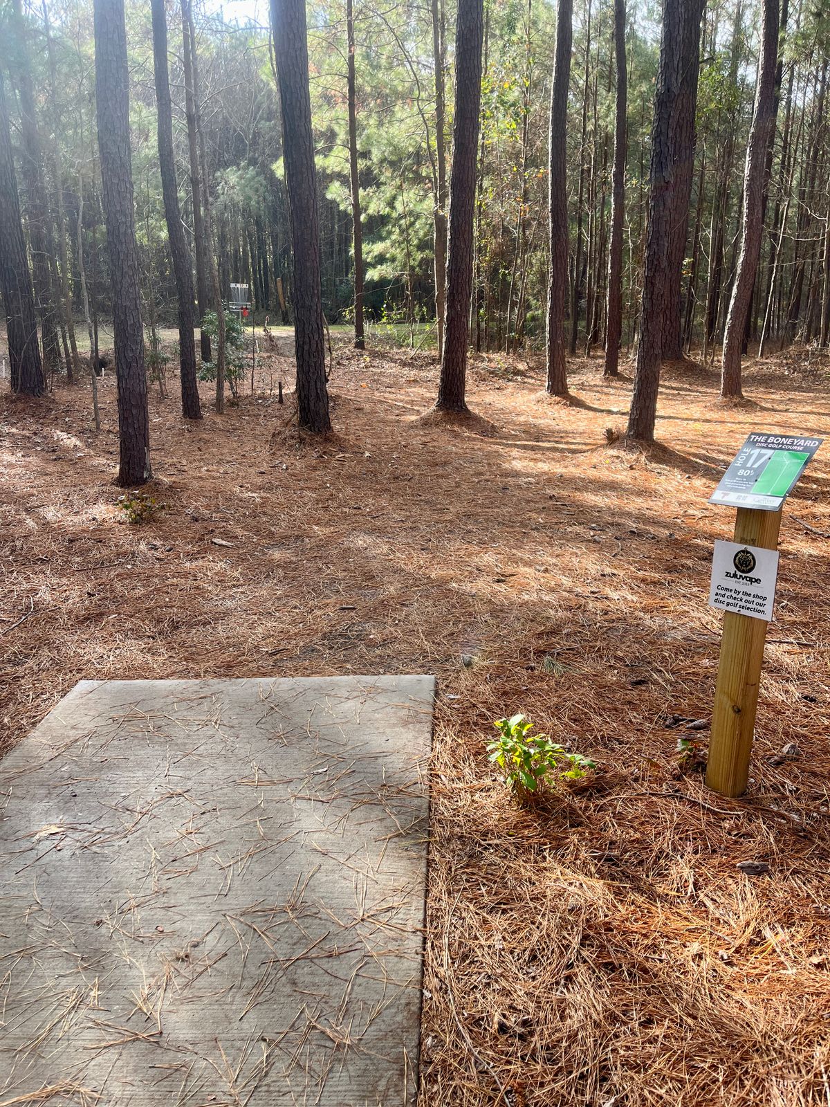 Hole 17 tee