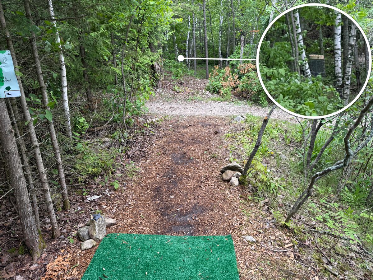 Hole 9 - short hole into the a thicket of trees. Fun final shot!