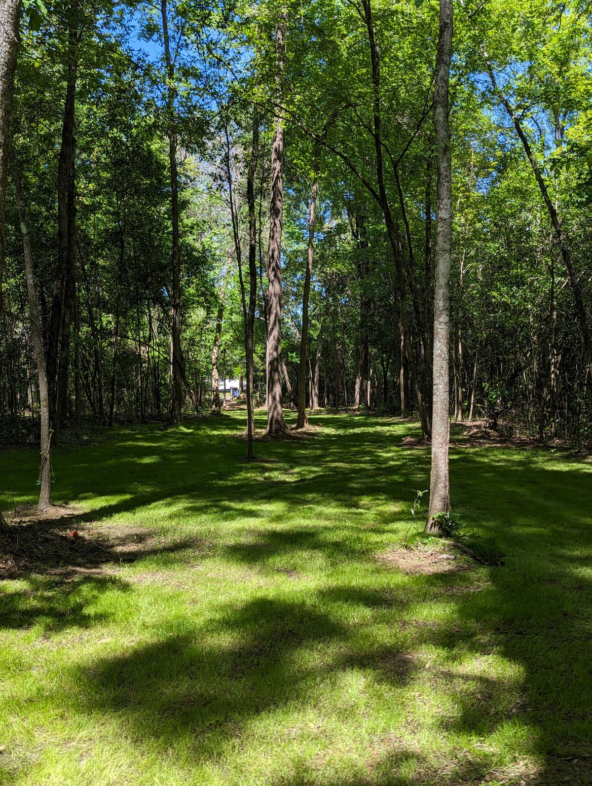Hole 18 Fairway 2