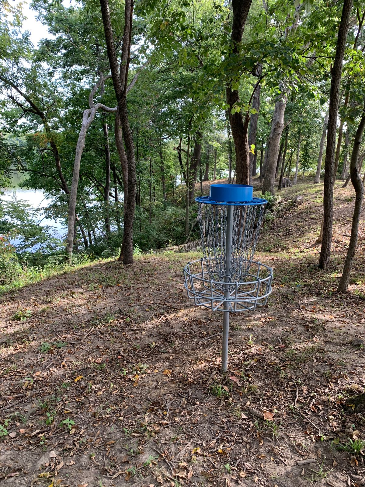 Hole 18 view behind basket