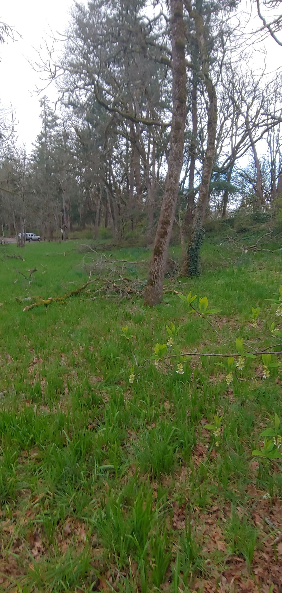 Hole 10