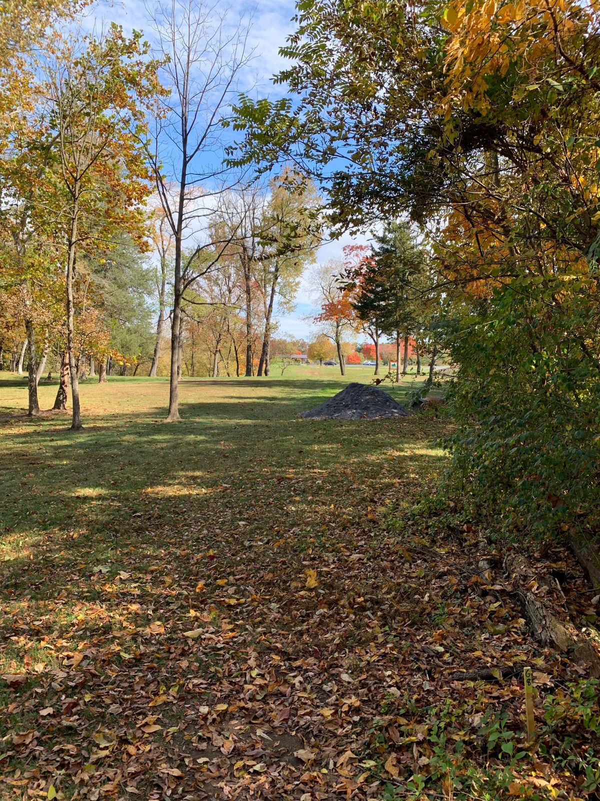 Hole 8, over the crest of the hill to the left. Seems to be the longest hole on the layout.