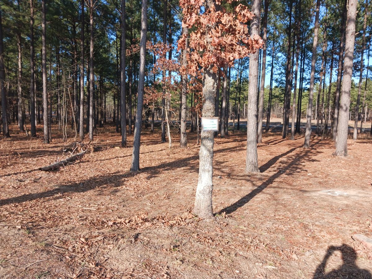 Park here outside of gated entrance.