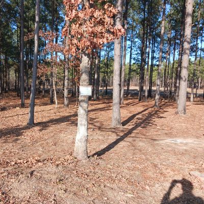 Park here outside of gated entrance.