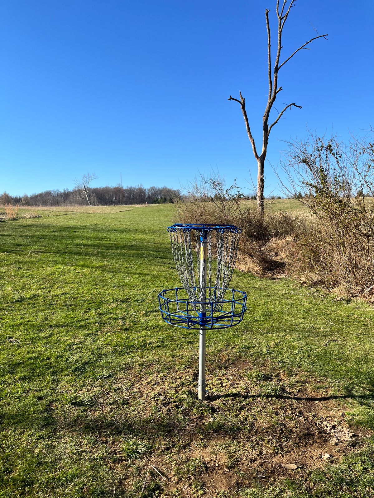 Hole 11 Basket